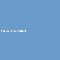 Toller Seide-Stuhl